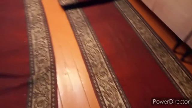 РАЗБОЙНИК проснулся в НОВОГОДНЮЮ НОЧЬ🐈🎄 смотреть онлайн