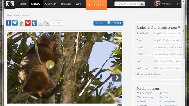 Put Pictures into a forum using PhotoBucket смотреть онлайн