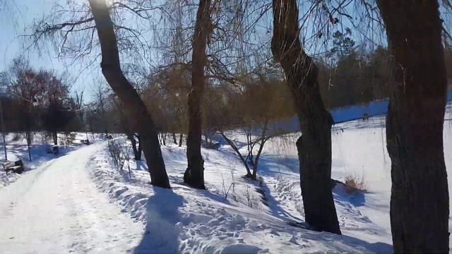 Молдова.Кишинёв, на Рышкановке в парке Бориса Главана.(12.01.24). смотреть онлайн