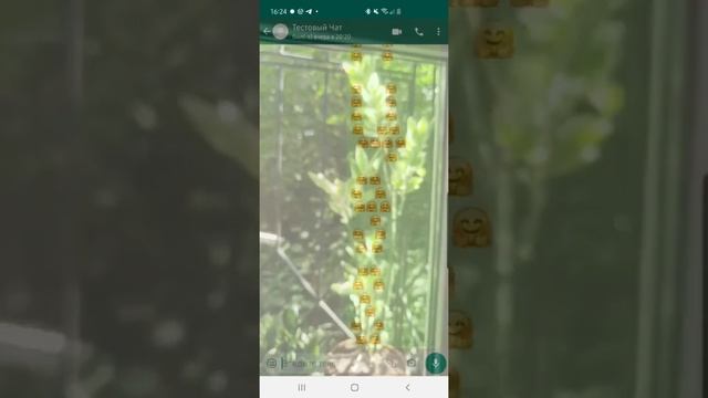 Прикольная фишка! Как в Ватсапе сделать прозрачный фон смотреть онлайн