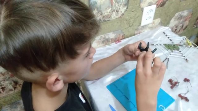 Паук на паутине смотреть онлайн