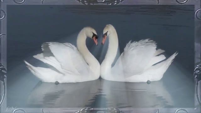 Твои руки смотреть онлайн