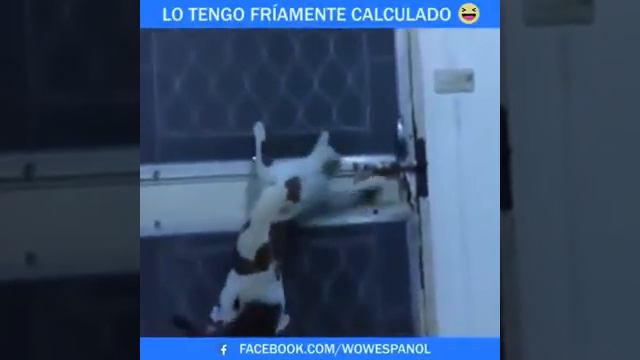 Не вероятные случаи бывают. There are no probable cases in life. смотреть онлайн