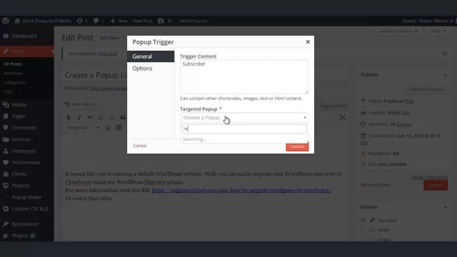 Popup Maker Trigger Shortcode смотреть онлайн