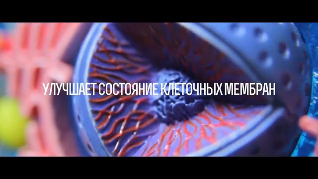 Water for life. Живая ВОДА смотреть онлайн