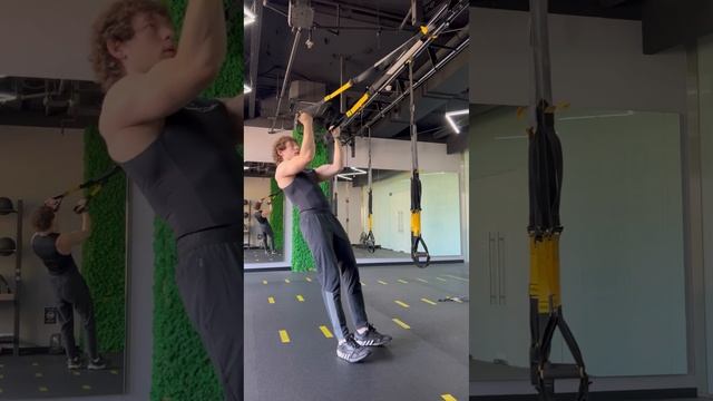 Подборка упражнений с TRX #trx #row #bicepsworkout #трицепс #бицепс #функциональныетренировки смотреть онлайн
