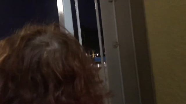 Вечерний Порт Бонаир Карибские Нидерланды с Круизным Лайнером Norwegian Gem 8 января 2020 г. смотреть онлайн