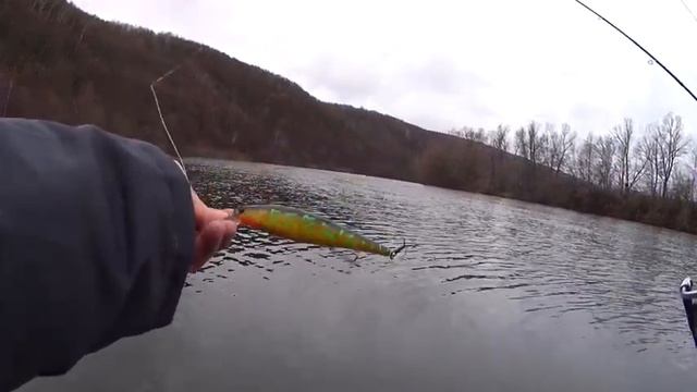 Щука просыпается!!!Осенняя рыбалка на реке Красивая Меча.Воблеры,силикон и железо в деле. смотреть онлайн