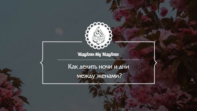 Как делить ночи и дни между женами? смотреть онлайн