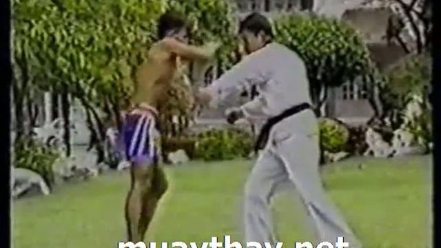 Muay Thai Low kick 2 (Нижний боковой удар ногой (лоу-кик) вариант 2) смотреть онлайн