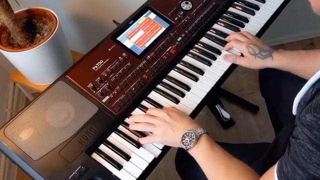 Korg Pa-700 DEMO 3 - Song of Ocarina - Pan Flute & Concert Violin смотреть онлайн