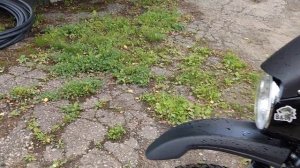 Баджадж Боксер 125.краткий отзыв,допы и д.р. пробег 4000км