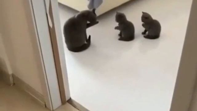 Класс умывания смотреть онлайн