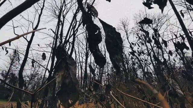 VID 20221114 113144 Трижды Вэ, трижды Эм...1922 (В. Хлебников)...Павел Васильев Лахтинский смотреть онлайн