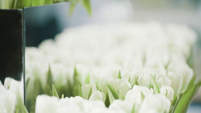 12. Свадьба Ландыши full смотреть онлайн
