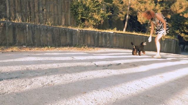 Гизель Дере смотреть онлайн