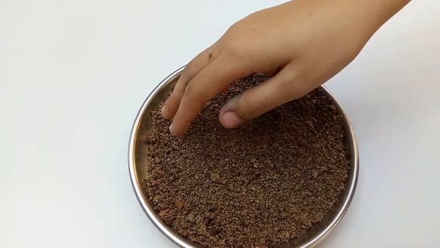 Make best tea leaves rose plant organic fertilizers at home made plants fertilizer English смотреть онлайн