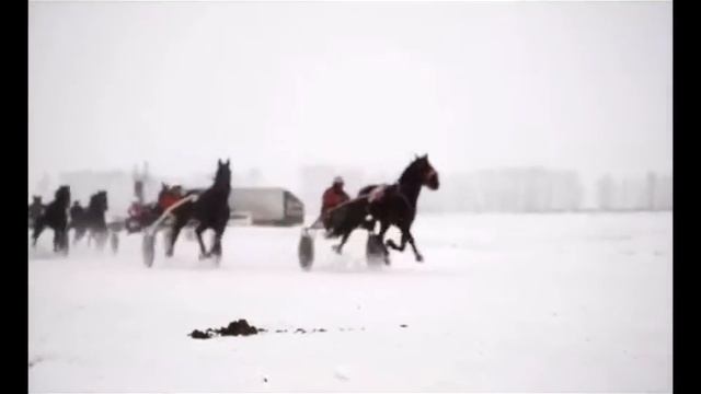 Золото Алтая смотреть онлайн