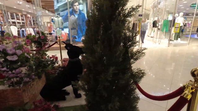 Москва. Киевский вокзал. ТРЦ Европейский. Мост Богдана Хмельницкого. Набережная. смотреть онлайн