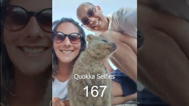 Quokka Selfies - How many did we take? смотреть онлайн