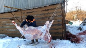 ВЕГАНАМ И ДЕТЯМ НЕ СМОТРЕТЬ! РАЗДЕЛКА ТУШИ БЫЧКА , ДЕРЕВЕНСКИЕ ЗАБОТЫ ... ТОЛЬКО -18+