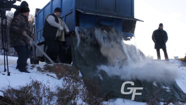 Зарыбление Сазаном НП Эковолга GorkyFisher.ru смотреть онлайн