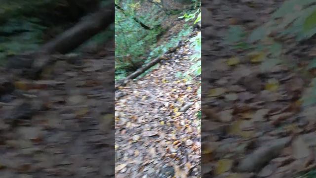 тропа здоровья Роза Хутор 2 смотреть онлайн