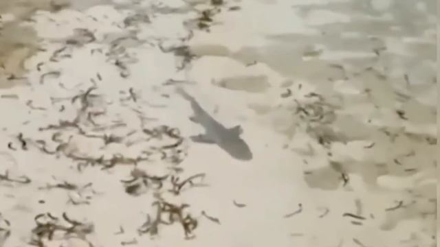 LIFE'S UNEXPECTED MOMENTS WHEN THINGS WENT WRONG смотреть онлайн