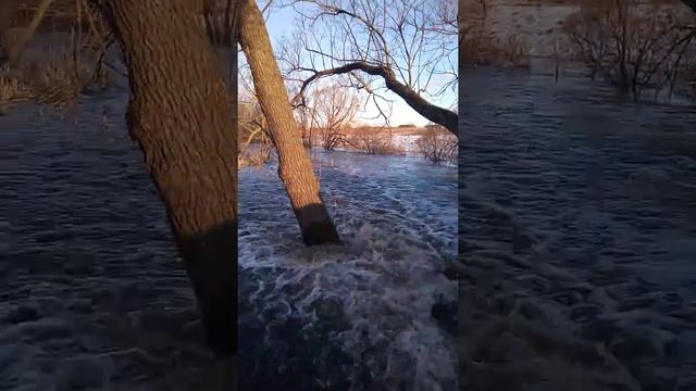 с.Пахотный угол. Весна пришла.Быстро тает снег(07.04.2018) смотреть онлайн