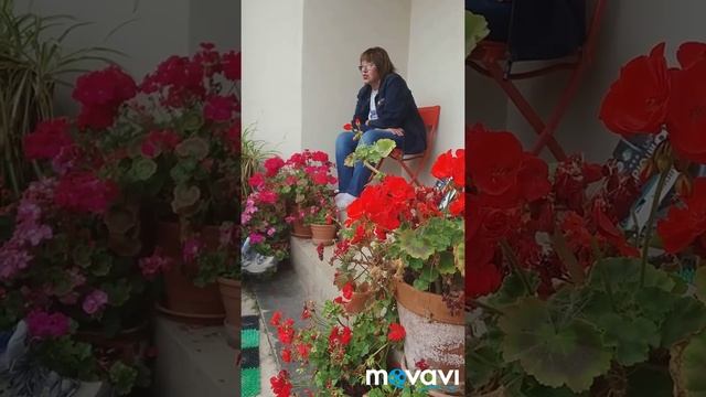 Флоксы в саду у Елены Константиновой Часть 1 смотреть онлайн