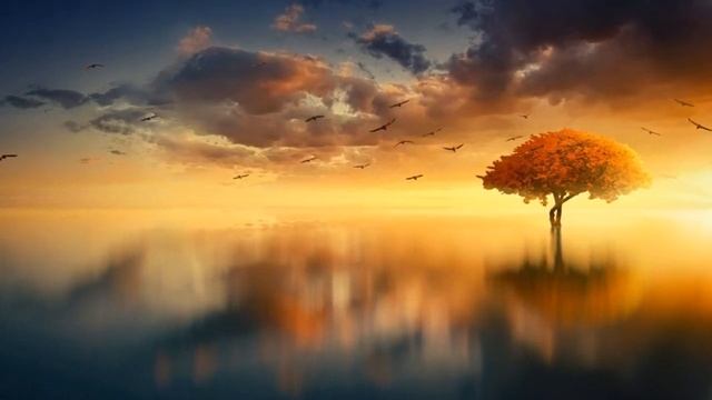 Джо Диспенза — Правда о себе смотреть онлайн