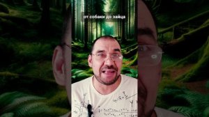 🐾 Математическая гонка: Охотник, Собака против Зайца 🐇 | Тайна лесных преследований