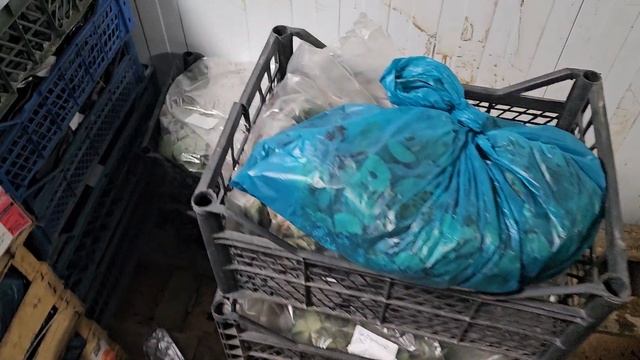 Сломался морозильник. Оттаяла рассада, распродаем все КСД по 10р, НСД по 15р. смотреть онлайн