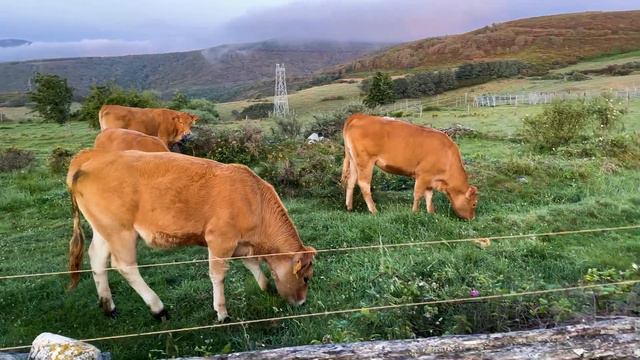 🥾⛰️ IL MIO CAMMINO di SANTIAGO - Parte 3 di 4 #andreabaruffaldi #santiago #pellegrino смотреть онлайн