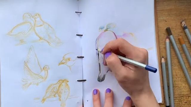 Как нарисовать Голубей || How to draw Doves смотреть онлайн