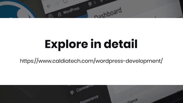 WordPress Development Services смотреть онлайн