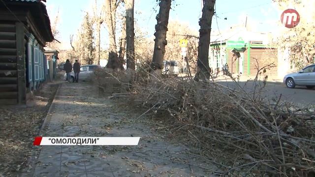 Тополя на Смолина "омолодили" смотреть онлайн