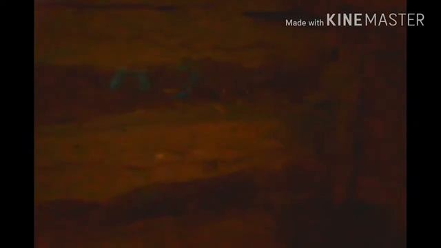 Как и чем хорошо утеплить клетки для кроликов и сарай для уток смотреть онлайн