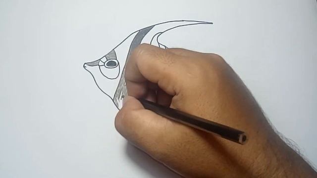 Cara Mudah Menggambar Ikan Badut Dengan Pensil Sederhana #2 смотреть онлайн
