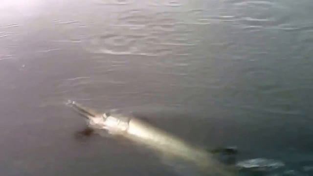 Троллинг на реке, ловля щуки смотреть онлайн