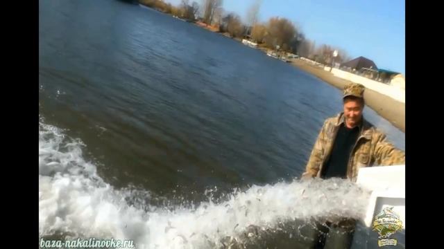 Зарыбление. Выпуск малька 