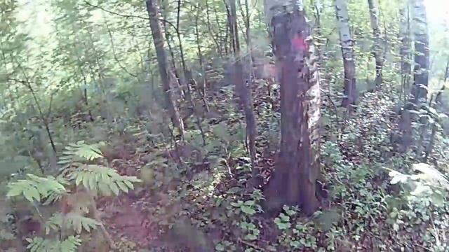 Первые грибы смотреть онлайн