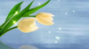 Футаж. Цветы над водой 7