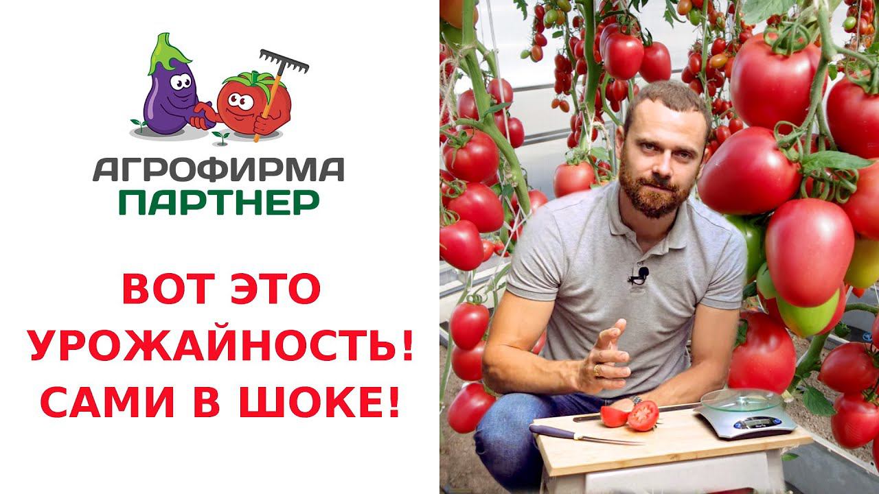 ВОТ ЭТО УРОЖАЙНОСТЬ! САМИ В ШОКЕ! смотреть онлайн
