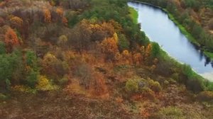 Мордовский заповедник: территория природы