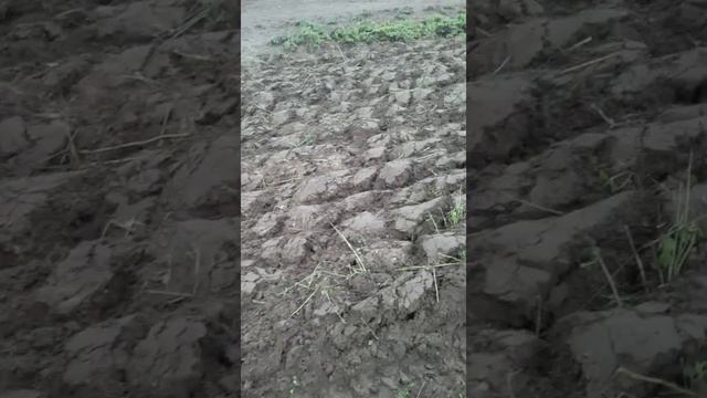 Зубр ха -31 смотреть онлайн