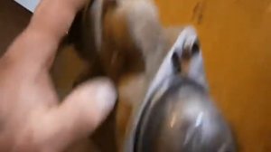 Замена втягивающего реле на Шевроле Авео