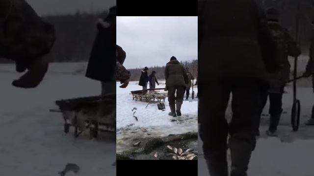 Мунха саҕаланна. смотреть онлайн