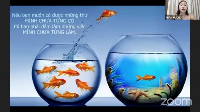 HTTV#11 - DÀNH CHO NHÀ ĐẦU TƯ MỚI TÌM HIỂU UST