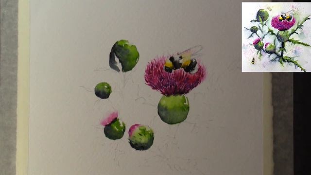 Watercolor thistles and bee paint along tutorial demo смотреть онлайн